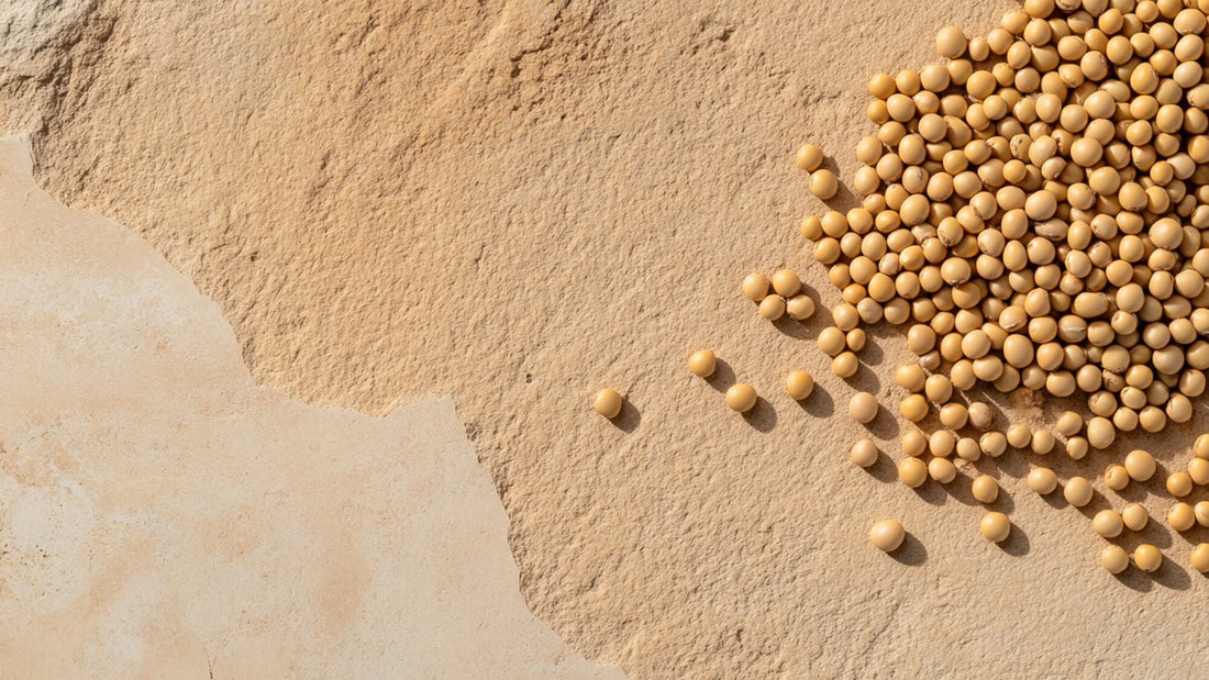 The Most Complete Guide To Protein: Muscle Building & More